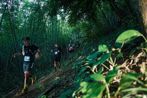 BIB: 
                            <button type="button" onclick="openModal(28124445)" class="btn btn-primary btn-sm float-right btn-popup" data-toggle="modal" data-target=".modal-high-quality">
                        <i class="fas fa-shopping-cart"></i> Add to Cart
                    </button>
                                            <button type="button" onclick="isThisMe(28124445, true)" class="btn btn-success btn-sm float-right btn-popup btn-isme hidden" data-toggle="tooltip" data-placement="bottom" title="นี่คือรูปของคุณใช่ไหม คลิกที่นี่เพื่อเอาเข้าอัลบั้ม">
                        <i class="fas fa-plus"></i> Add to album
                    </button>
                    <button type="button" onclick="isThisMe(28124445, false)" class="btn btn-warning btn-sm float-right btn-popup btn-isnotme hidden">
                        <i class="fas fa-ban"></i> Remove from album
                    </button>